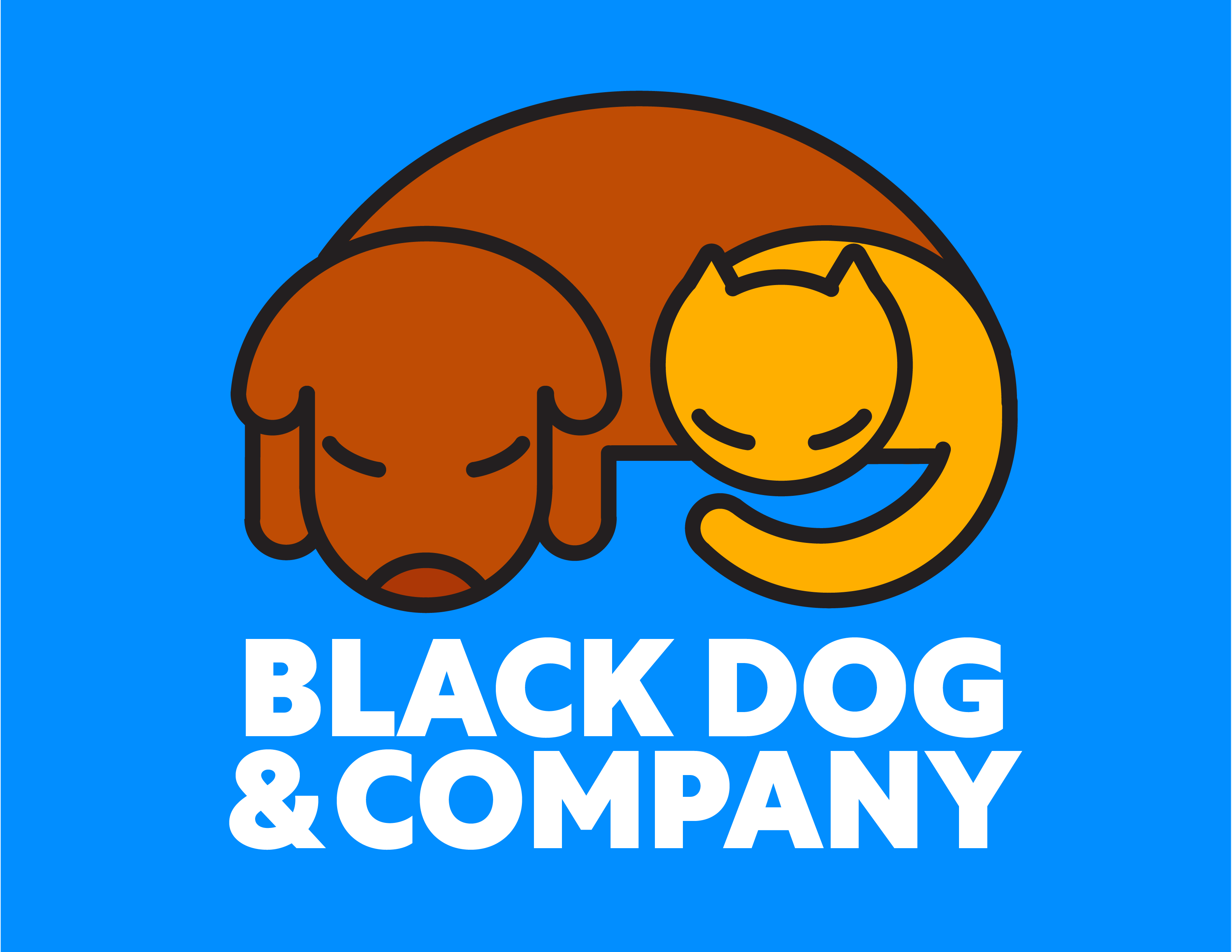 Black Dog & Company preview